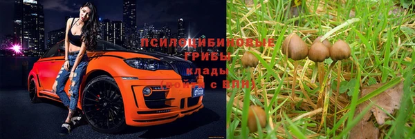 СК Билибино
