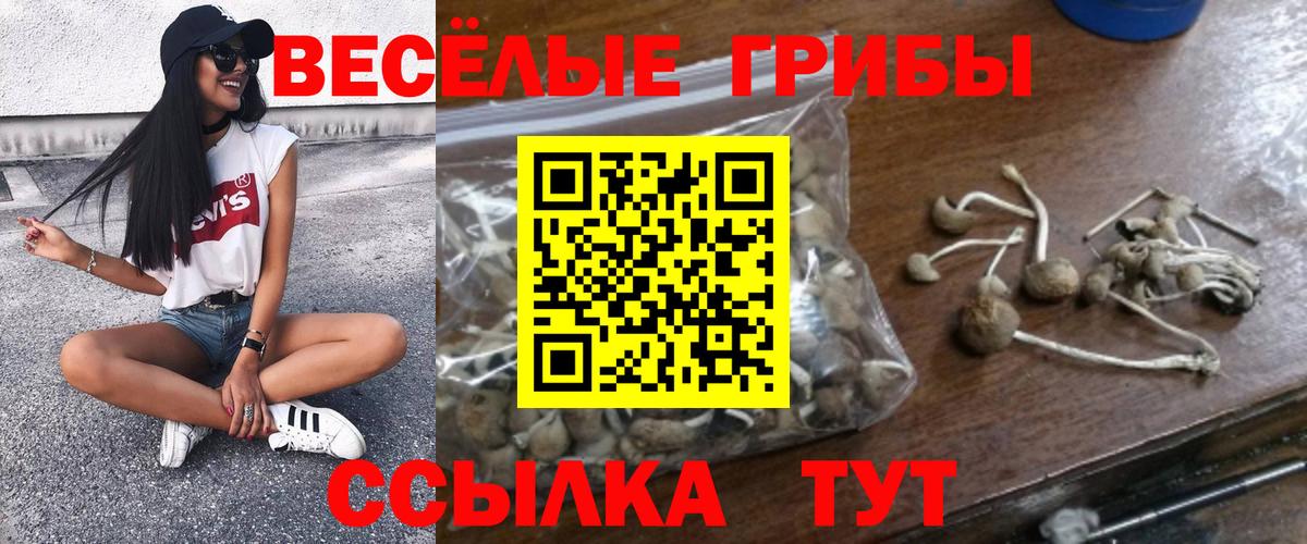 Галлюциногенные грибы ЛСД  наркотики  Калуга  Вход с VPN  Галлюциногенные грибы Psilocybine cubensis 