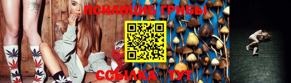 Галлюциногенные грибы Magic Shrooms Калуга